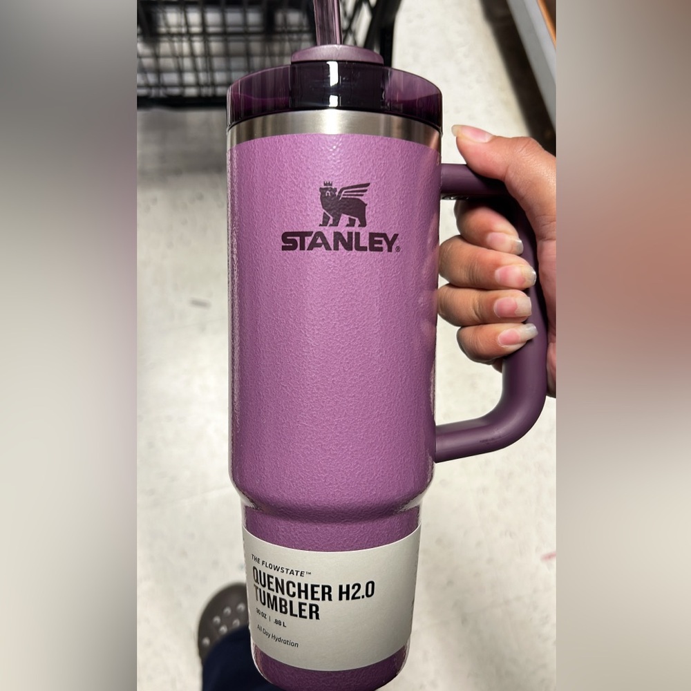 Purple Stanley quencher H2O tumblr